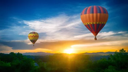 Deurstickers Hot Air balloons flying over forest landscape sunset vintage nature background © applezoomzoom