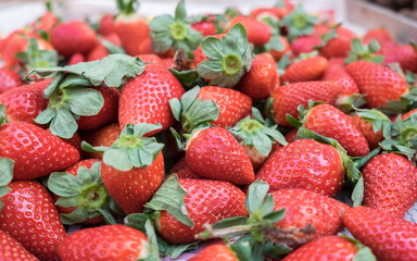 fresh organic strawberries at local city farmers market
