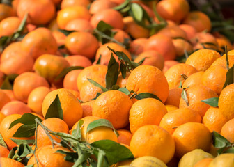 New harvest tangerines for sale at city market