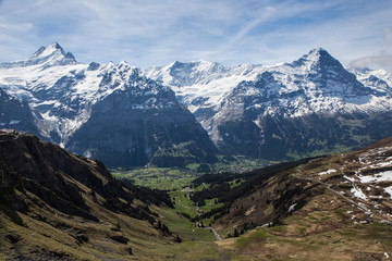 Fototapeta na wymiar Ausblick auf Grindelwald mit Schreckhorn und Eiger