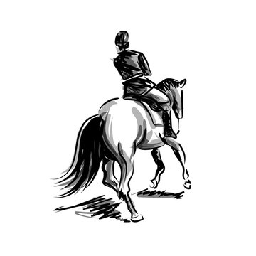 Vector ink sketch rider on horseback