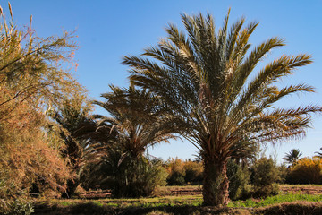 Natur Aufnahmen, W&uuml;stenbilder, Dessert, Architektur und Geb&auml;ude in Africa