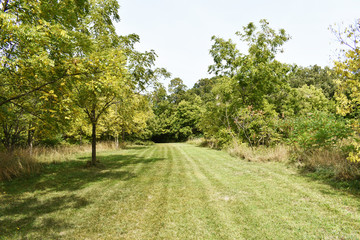 Grassy Trail