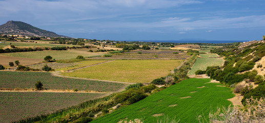 Fototapeta na wymiar Sardinien Feld Wiese Natur
