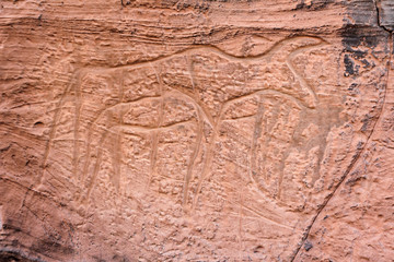 Natur Aufnahmen, Wüstenbilder, Dessert, Architektur und Gebäude in Africa