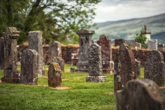 cemetery, scotland historical gravestones with plant