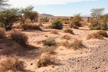 Natur Aufnahmen, W&uuml;stenbilder, Dessert, Architektur und Geb&auml;ude in Africa