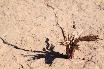 Natur Aufnahmen, Wüstenbilder, Dessert, Architektur und Gebäude in Africa