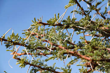 Natur Aufnahmen, Wüstenbilder, Dessert, Architektur und Gebäude in Africa