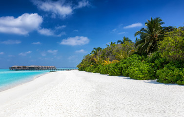 Traumstrand der Malediven mit Palmen, feinem Sand, tiefblauem Himmel und türkisem Meer