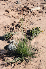 Natur Aufnahmen, Wüstenbilder, Dessert, Architektur und Gebäude in Africa