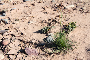 Natur Aufnahmen, Wüstenbilder, Dessert, Architektur und Gebäude in Africa