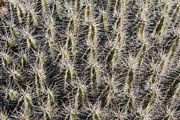 Natur Aufnahmen, Wüstenbilder, Dessert, Architektur und Gebäude in Africa