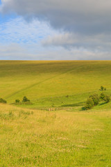 Fototapeta premium Green Sussex Landscape