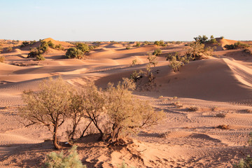 Natur Aufnahmen, Wüstenbilder, Dessert, Architektur und Gebäude in Africa