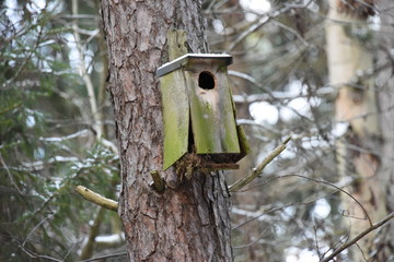 Old birdhouse a snowy cold day in the forest