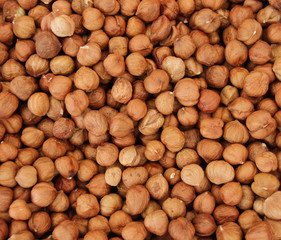 Hazelnuts. Peeled Raw Hazelnuts. Fresh organic Nuts. Raw nuts. Hazelnuts background 