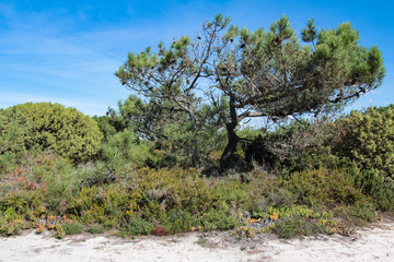Europas Schönheiten der Stand, Land, Natur und Straßen mit Sonne, Wolken und Nebel