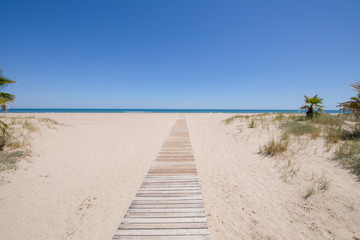 Fototapeta na wymiar landscape access to idyllic Beach of PIne or Pinar, with wooden footway on sand and palm trees, in Grao of Castellon, Valencia, Spain, Europe. Blue clear sky and Mediterranean Sea 