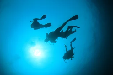 Cercles muraux Plonger Plongée sous-marine