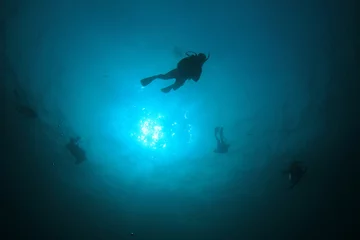 Zelfklevend Fotobehang Scuba diving © Richard Carey