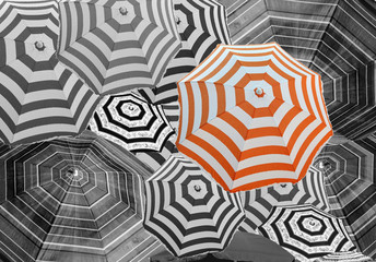 parasol orange sur fond de parasols en noir et blanc 