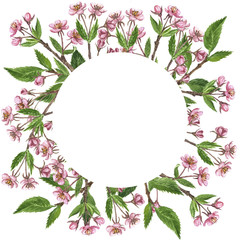 Fototapeta premium floral frame with cherry tree branch, flowers, leaves and buds