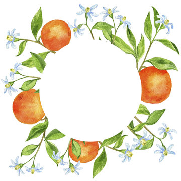 background with fruit tree branches, flowers, leaves and oranges