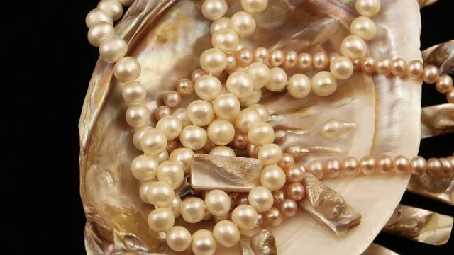 Beads of pearls lying in a seashell