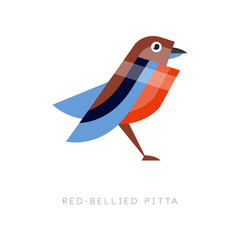 Abstract illustration of red bellied pitta. Colorful bird made from simple geometric figures. Flat vector design for print, business or zoo store logo