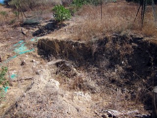 Mura timoleontee, magna grecia a gela