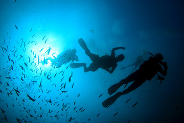 Naklejka na ściany i meble Scuba dive. Diving in ocean. Scuba divers explore coral reef