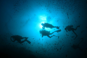 Obraz premium Scuba dive. Diving in ocean. Scuba divers explore coral reef