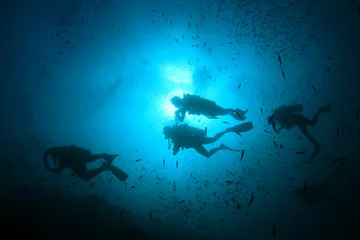 Fototapeten Scuba dive. Diving in ocean. Scuba divers explore coral reef © Richard Carey