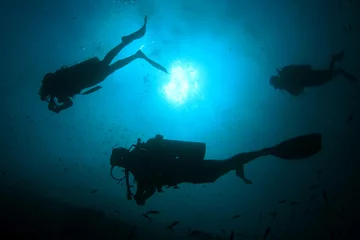 Türaufkleber Scuba dive. Diving in ocean. Scuba divers explore coral reef © Richard Carey