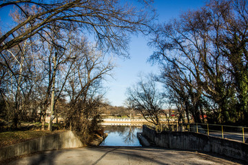 Blue Sky trees at boat dock