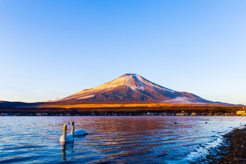 Fototapeta premium Mt.Fuji turned red with a morning glow.The shooting location is Lake Yamanakako, Yamanashi prefecture Japan.