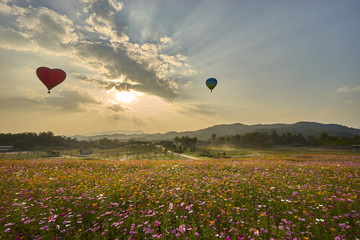 Romantic hot-balloons scenery