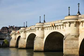 Fototapeta premium Pont Neuf sur la Seine à Paris, France