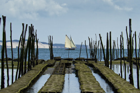 Parc &agrave; huitres