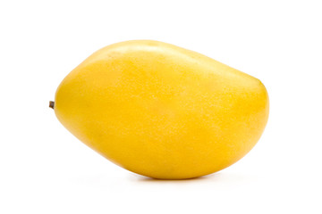 Yellow Mango fruits isolated white background