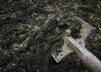 shovel drips land in the first spring work in the garden