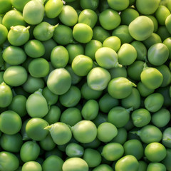 tasty natural square background from lots of round ripe green peas