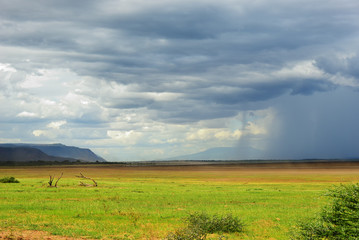 Manyara lake, Tanzania, Africa