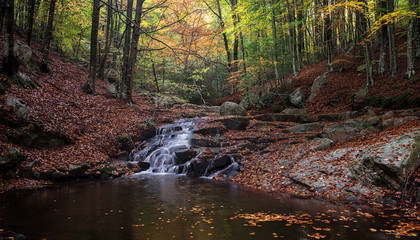 Santa Fé del Montseny