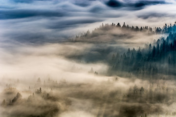 Jesienne  poranne mgły ,Beskid Sądecki,Jaworzyna Krynicka