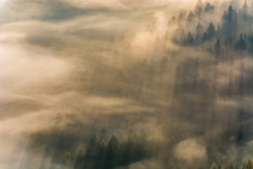 Obraz na płótnie Canvas Jesienne poranne mgły ,Beskid Sądecki,Jaworzyna Krynicka