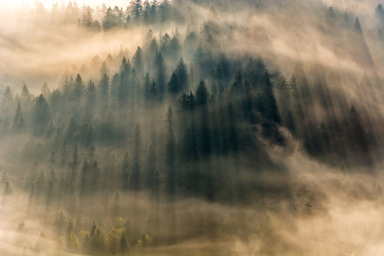 Jesienne poranne mgły ,Beskid Sądecki,Jaworzyna Krynicka © Adam Olszowski
