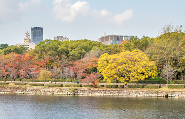 Fototapeta na wymiar Colorful trees in Osaka, Japan