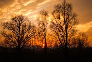 Brescia Italy, nice sunset in the countryside, sky has beautiful red and yellow sfumature.